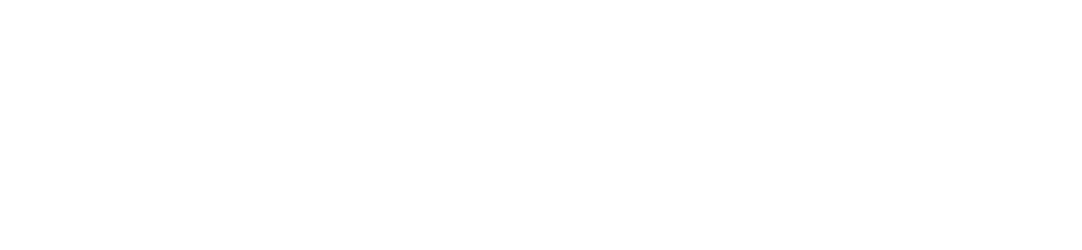 Main Logo