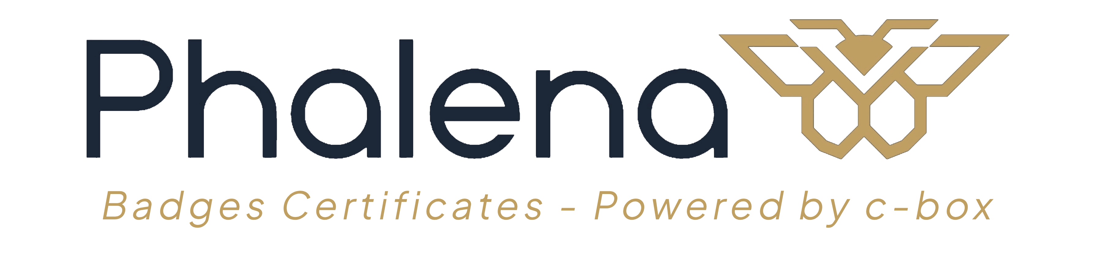 Main Logo